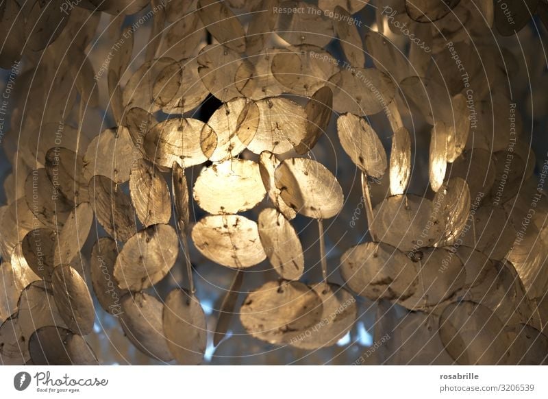 Lichtspiel aufgehängte Perlmuttkreise | Trash 2020 Kreise Scheiben Windspiel Beleuchtung schimmern Formen Strukturen abstrakt Hintergrund Mobile irisierend