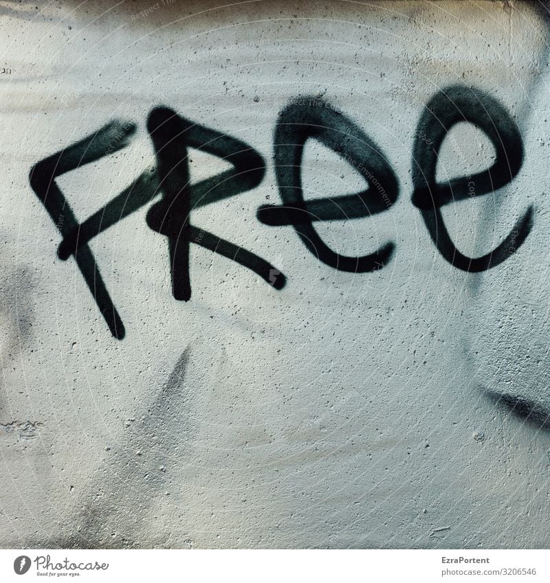 das Wort frei ins englische übersetzt und dann mit einer Farbsprühdose (Farbe schwarz) auf eine Betonwand gesprüht weiß Freiheit free Englisch Fassade Graffiti