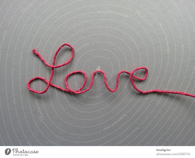 Love Schriftzeichen Kommunizieren grau rosa Gefühle Liebe Papierdraht Schreibschrift Basteln Farbfoto Studioaufnahme Menschenleer Textfreiraum links
