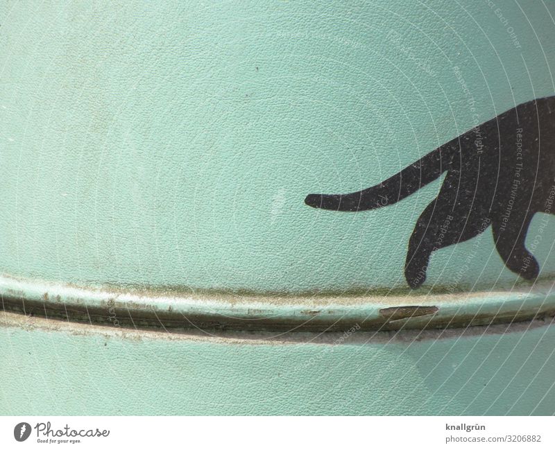 Auf leisen Sohlen... Tier Haustier Katze 1 Metall Graffiti gehen grün schwarz schwarze Katze Rost Eisenrohr laufen Farbfoto Außenaufnahme Menschenleer