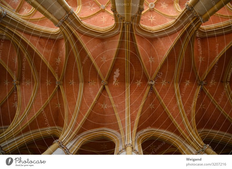 Kirche harmonisch ruhig Meditation entdecken leuchten Kloster Gotik Decke Stern Himmel Innenaufnahme Menschenleer