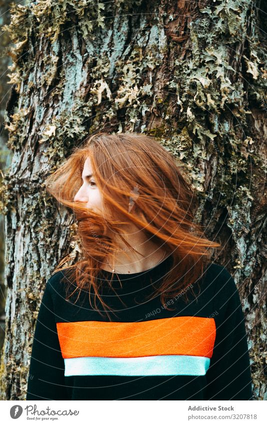 Lässige rothaarige Frau, die mit Haaren zittert wehendes Haar natürlich schütteln Rotschopf Schottland Schönheit Frisur romantisch schön Rinde Baum Ingwer