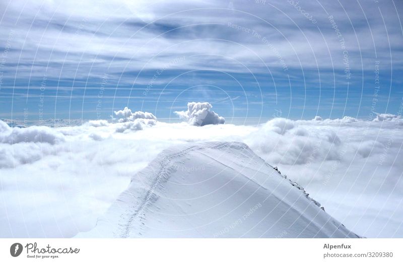 Startrampe Wolken Klima Klimawandel Schönes Wetter Eis Frost Alpen Berge u. Gebirge Gipfel Schneebedeckte Gipfel Gletscher Coolness fantastisch kalt Freude