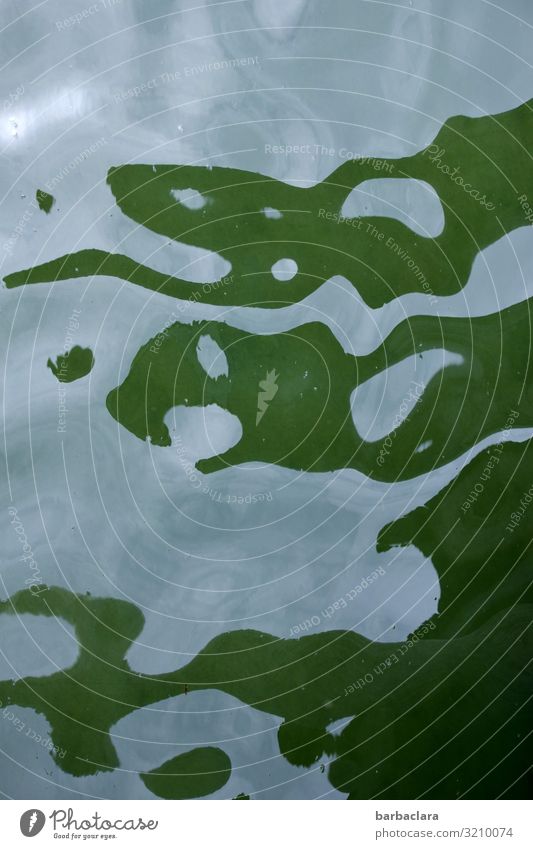 AST 7 | Bodensee-Wassergeister Urelemente See Zeichen Streifen Figur lustig blau grün Freude Bewegung bizarr Kreativität Natur Sinnesorgane Farbfoto