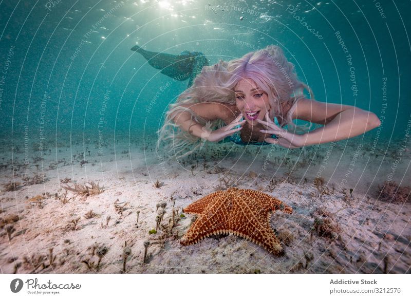 Rothaarige märchenhafte weibliche Meerjungfrau schwimmt neben Seesternen schwimmen unter Wasser Fischschwanz neugierig blau MEER tief gelesen schön Tageslicht