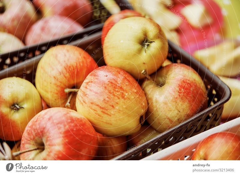 Äpfel im Korb Pflanze entdecken Erfolg Erwartung Apfel Apfelfrucht reif Gesundheit lecker allstar rot gelb Gesunde Ernährung Frucht Ernte Farbfoto Außenaufnahme
