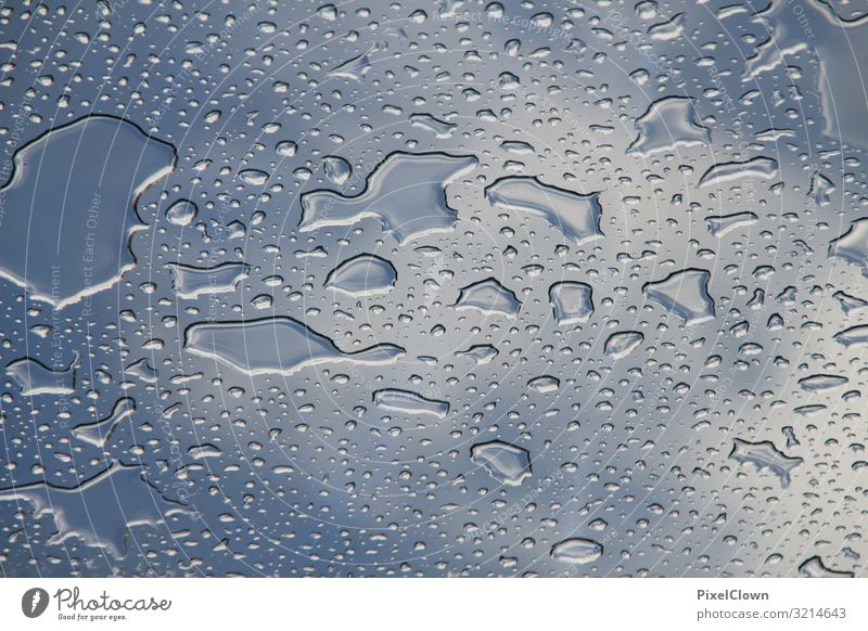 Wassertropfen Lifestyle Stil Design Klima Regen schön blau Umwelt Umweltschutz Farbfoto Außenaufnahme Nahaufnahme Detailaufnahme Menschenleer