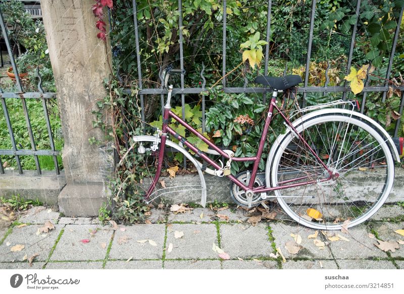 ratenklau Fahrrad schließen Sicherheit unsicher entwenden abmontieren Stadt Stadtleben alt vergessen Rad vermissen Gärtchen Gartenzaun Fahrradschloss