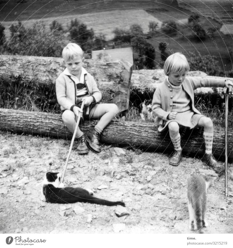Spielanleitung maskulin feminin Mädchen Junge 2 Mensch Landschaft Baumstamm Stock Tier Haustier Katze beobachten gehen liegen Blick sitzen Spielen Tierliebe