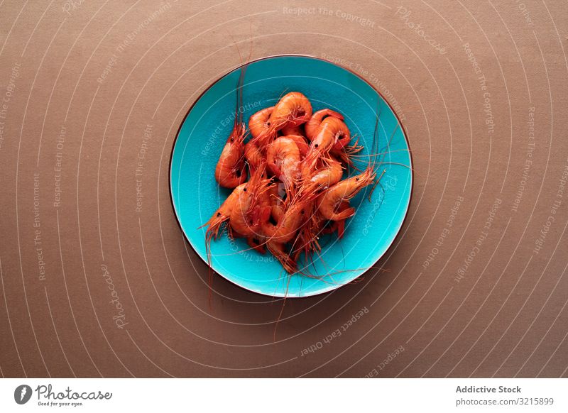 Rote schmackhafte Garnelen in leuchtend blauem Teller Krabbe Schmarotzerrosenkrebs Feinkostladen Meeresfrüchte Bestandteil geschmackvoll frisch Granele