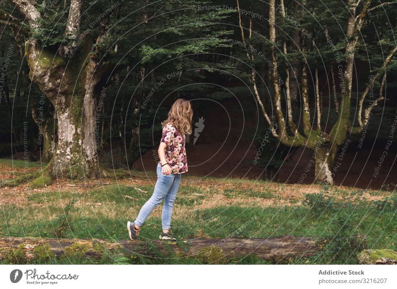 Junge Frau balanciert auf einem Baumstamm im Park Wald Totholz laufen Ausgewogenheit majestätisch dunkel alt mystisch jung Tourist Natur Landschaft Urlaub