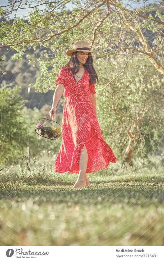 Frau in rotem Kleid im Sommergarten mit Obstkorb heiter Korb attraktiv laufen Früchte jung schön Lifestyle frisch natürlich organisch grün Natur Vegetarier