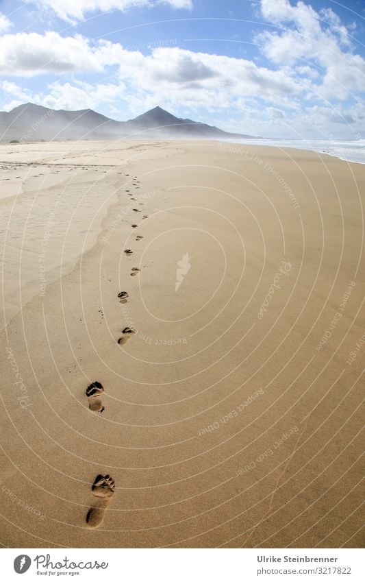 Linie mit Fußspuren im Sand von Playa de Cofete auf Fuerteventura Ferien & Urlaub & Reisen Tourismus Ausflug Freiheit Strand Meer Insel Umwelt Natur Landschaft