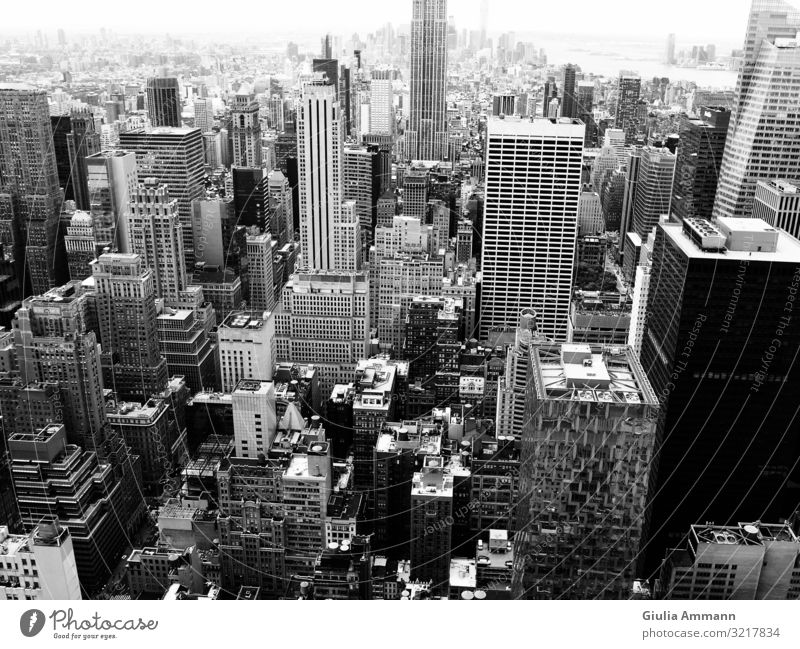 New York Skyline an einem Sommertag - Blick vom Rockefeller aus Kunst Manhattan USA Kleinstadt Stadt Stadtzentrum bevölkert Bankgebäude Gebäude Architektur Dach