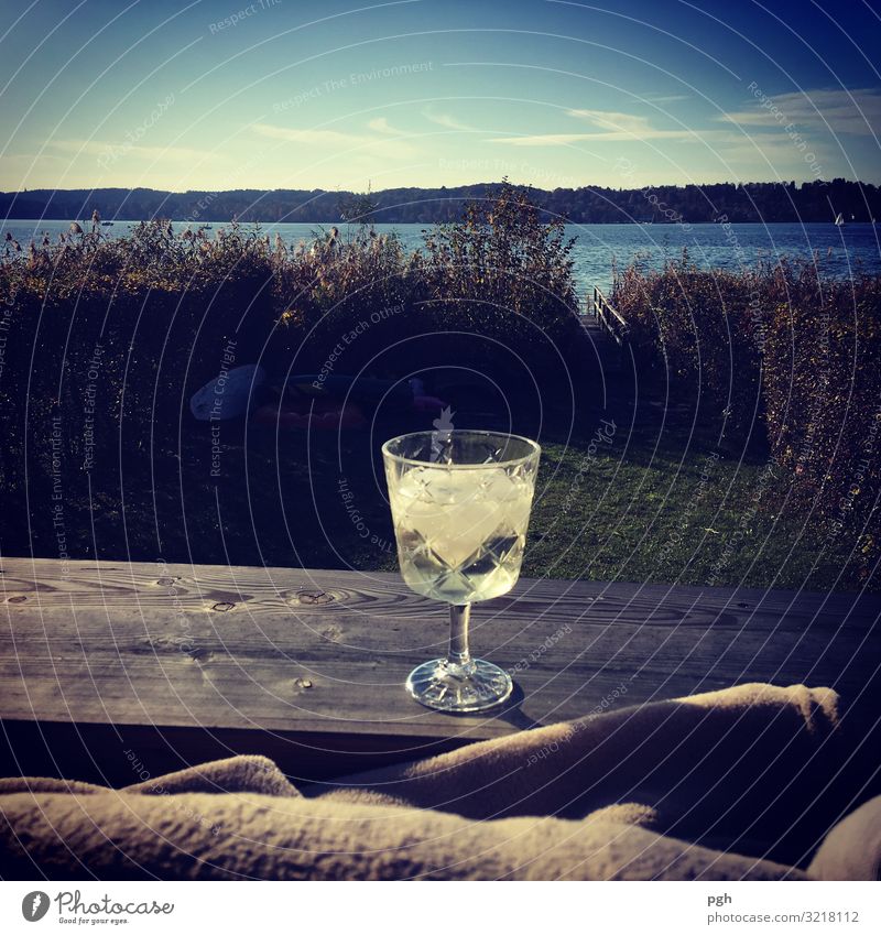 Vino am Lago trinken Erfrischungsgetränk Alkohol Sekt Prosecco Glas Lifestyle Freude Glück Erholung ruhig Schwimmen & Baden Sommer Strand Wasser Sonne