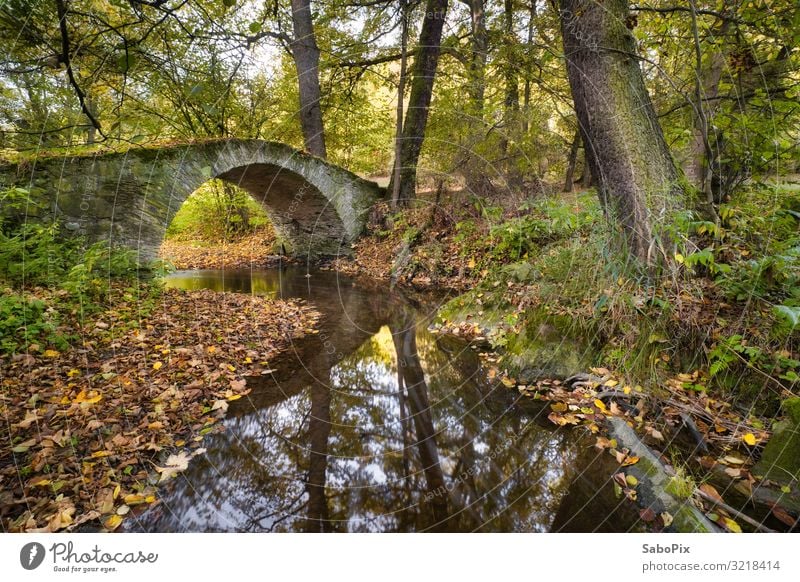 alte Steinbrücke Ausflug Abenteuer wandern Umwelt Natur Landschaft Pflanze Urelemente Erde Wasser Herbst Schönes Wetter Baum Flussufer Bach Menschenleer braun