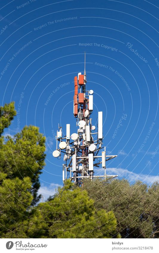 Mobilfunk Strahlenbaum Telekommunikation Landschaft Wolkenloser Himmel Sommer Schönes Wetter Baum leuchten authentisch gigantisch hoch blau grün rot weiß Erfolg