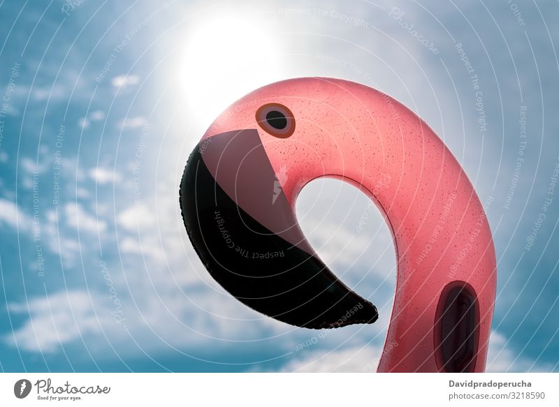Aufblasbare rosa Pelikan-Matratze auf rosa Meer Strand sich[Akk] entspannen Natur schön sonnig MEER Paradies Salz Halobakterien Spanien Wasser Sommer im Freien
