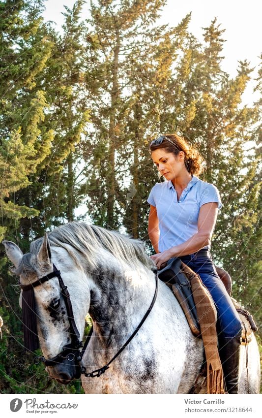 Eine attraktive Frau reitet auf einem Pferd in einem natürlichen Lifestyle Freude Glück schön Erholung ruhig Sommer Garten Mensch Erwachsene Mann