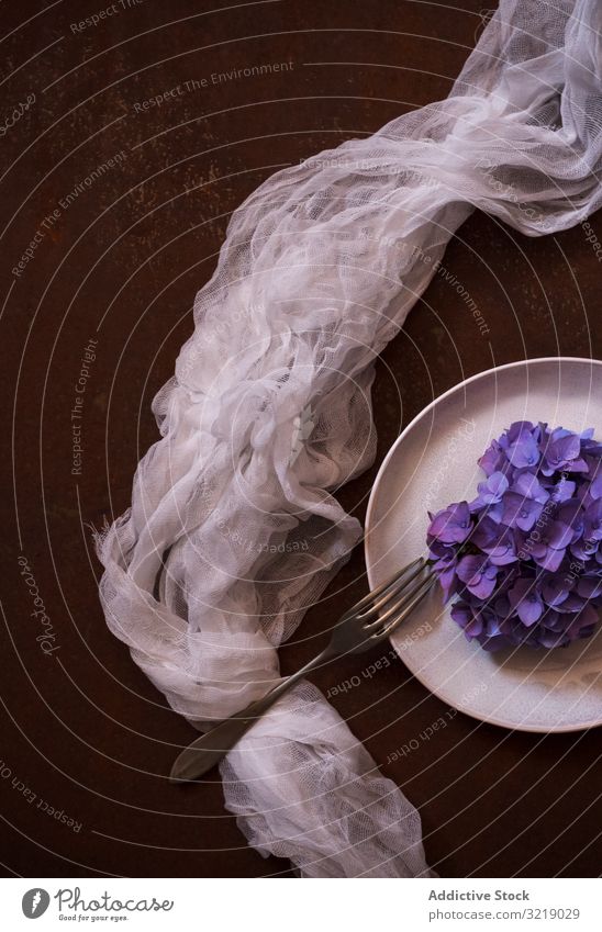 Gaze in Tellernähe mit Blumen Konzept Speise serviert Gabel Portion Dekor violett Gewebe durchscheinend dünn Stoff Vorhang Textil Serviette Blütezeit Flora