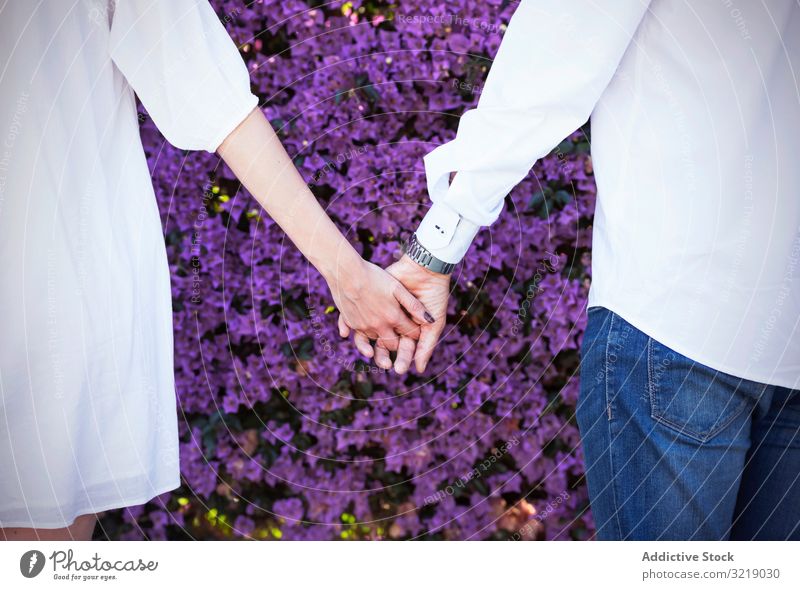 Pflanzenpaar hält Hände in der Nähe eines blühenden Busches Paar Buchse Blume Park Händchenhalten Frühling Liebe violett Mann Frau Zusammensein romantisch