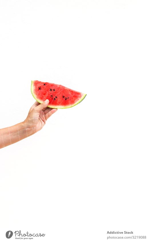 Erntehand mit reifer Wassermelone saftig Person Frucht Lebensmittel frisch Dessert Diät Hand Vegetarier Veganer Vitamin süß essbar Sommer Saison organisch