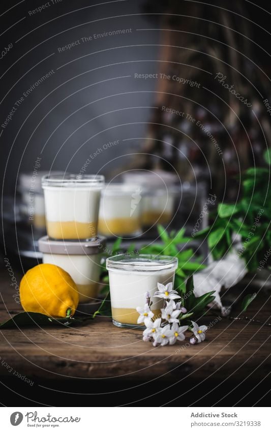 Hausgemachter Joghurt mit Zitronenquark Gesundheit Dessert Quark süß selbstgemacht gelb Zitrusfrüchte Vor dunklem Hintergrund Lebensmittel weiß Blatt Glas