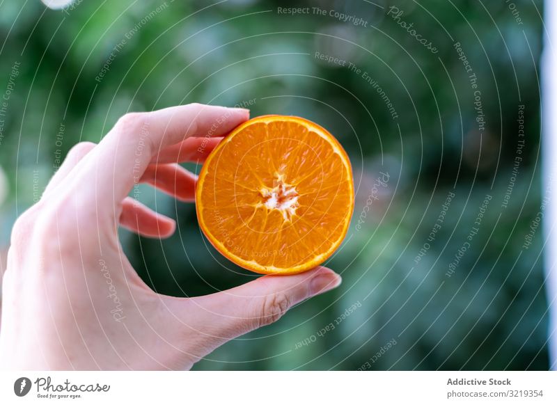 Frau hält reife orangefarbene Mandarine Garten frisch Halt Gesundheit organisch Ernährung süß geschmackvoll saftig Vitamin Sommer lecker natürlich erfrischend
