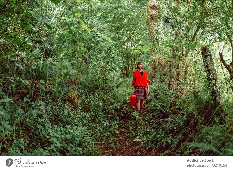 Frau in Rot mit großem roten Koffer im Wald reisen stylisch grün Gepäck Natur schön Tasche Piercing Warten Freiheit allein Ausflug Reise Baum Tourist elegant