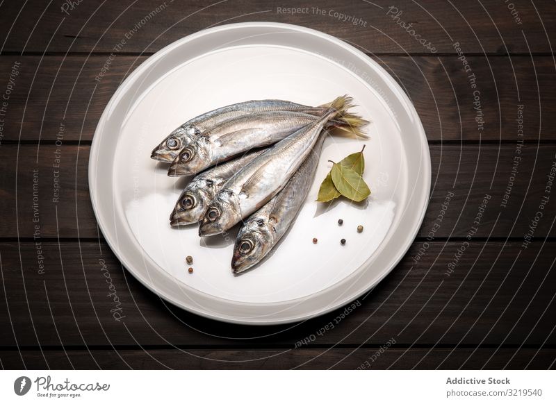 Frischer Makrelenfisch auf dem Teller bereit zum Kochen. Rohe Meeresfrüchte Fisch Lebensmittel frisch roh MEER Bestandteil Gesundheit Produkt lecker Abendessen