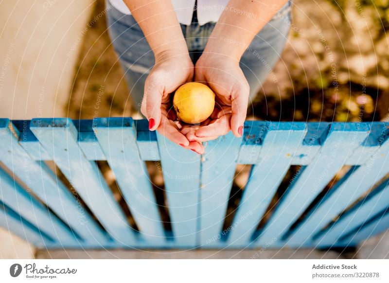 Frau hält Obst in der Hand Apfel Obstgarten Sommer Frucht Garten Zaun Halt tiefstehend hölzern frisch Erfrischung Handfläche Gesundheit Vitamin Ernährung