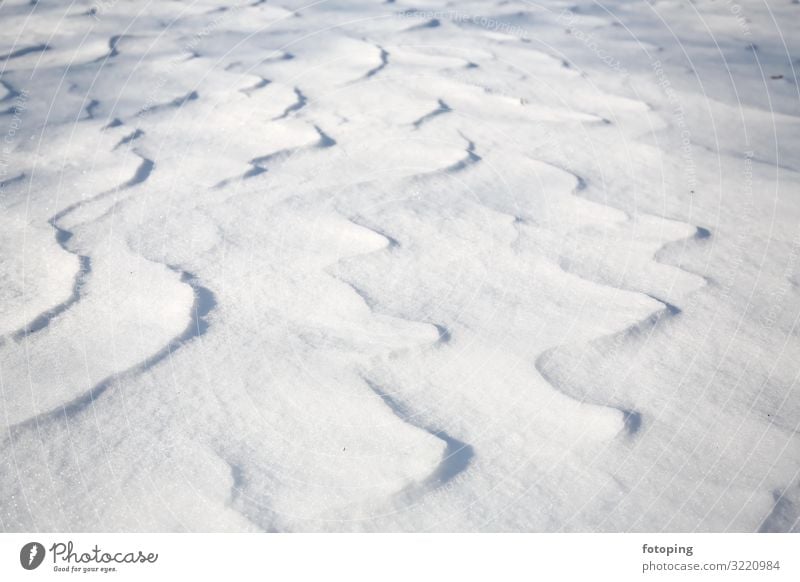 Neuschnee Winter Schnee Natur Landschaft Wind Eis Frost kalt weiß Schneewehe Schneedecke Schneelandschaft Dünen gefroren Pulverschnee Erosion Hintergrundbild
