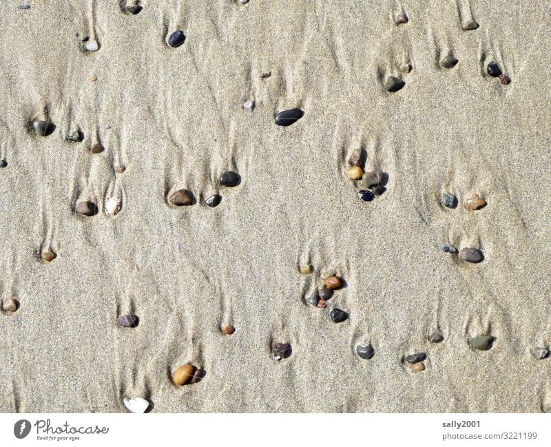 Strandgut... Küste Stein liegen ästhetisch klein maritim Zufriedenheit Erholung Gelassenheit Kieselsteine Muschelschale Gezeiten Ebbe Meditation spülen Farbfoto