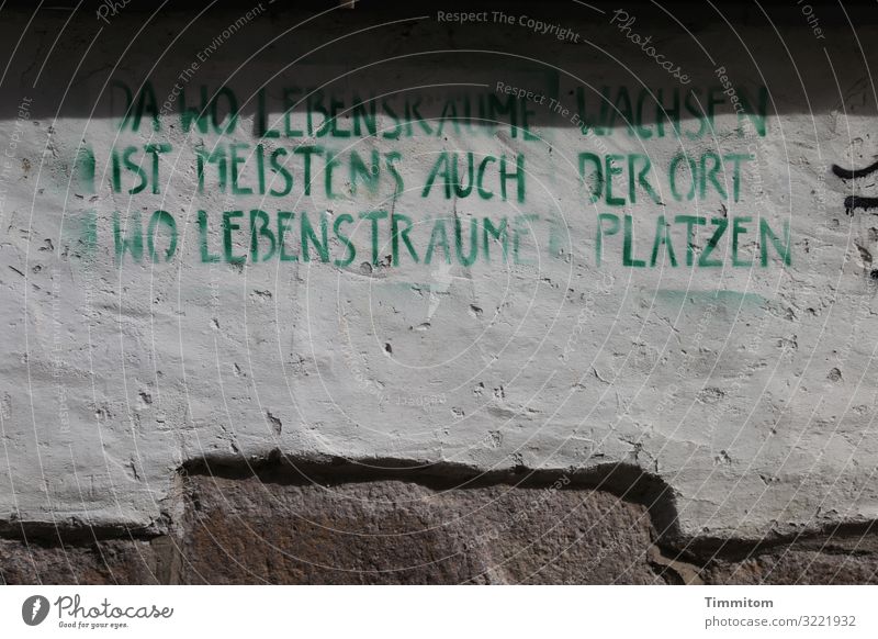 Denk mal Ferien & Urlaub & Reisen Haus Mauer Wand Stein Schriftzeichen Graffiti dunkel authentisch braun grün weiß Gefühle Schmerz Wut nachdenklich Farbfoto