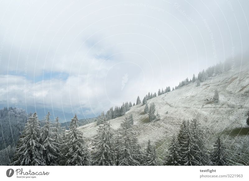 puderzucker schnee erster schnee berge allgäu bäume natur einsam hügel tannen wetter wintereinbruch herbst wandern reisen kälte kalt