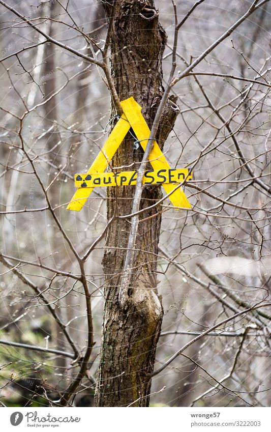 A wie aufpASSEn Kernkraftwerk Holz Zeichen Schriftzeichen Schilder & Markierungen beobachten sprechen bedrohlich rebellisch braun gelb Warnung Kontrolle