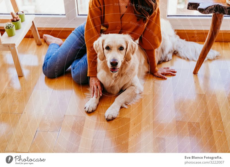 Schöne Frau, die ihren bezaubernden Golden Retriever Hund zu Hause umarmt. Konzept der Liebe zu Tieren. heimwärts Umarmen Lifestyle Innenaufnahme Zusammensein