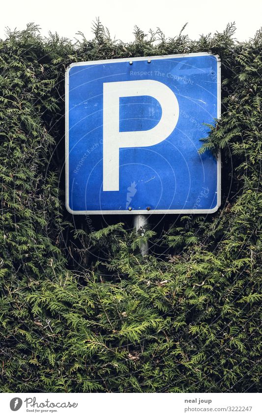 Langzeit Parken Hecke Deutschland Verkehr Verkehrswege Verkehrszeichen Verkehrsschild Parkplatz Zeichen Schriftzeichen stehen warten einfach nerdig blau grün