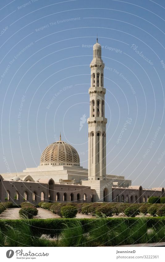 Sultan Qaboos Moschee in Muscat Reiseroute reisend Reisefotografie Ferien & Urlaub & Reisen Tourismus Sommerurlaub Kunst Wolkenloser Himmel Maskat Oman Palast