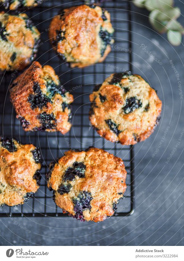 Hausgemachte Blaubeer-Muffins auf Kühlgestell über dunklem Hintergrund. kalorienarm selbstgemacht Blaubeeren Kühlregal niemand Draufsicht vertikal Lebensmittel