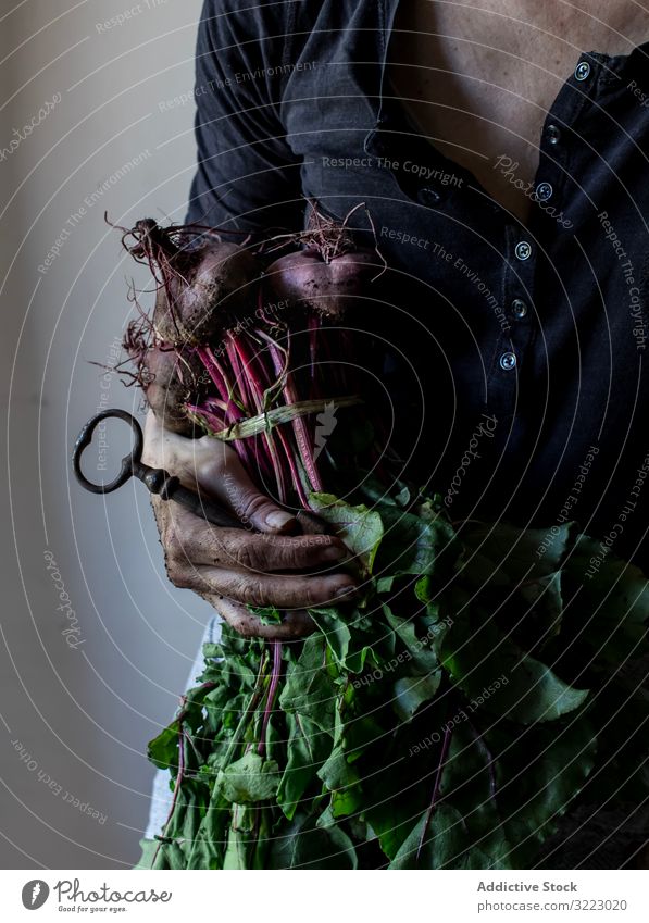 Gesichtslose Person mit Rübenbündel und Schlüssel Frau Rote Beete Haufen Gemüse Lebensmittel Ernte Taste Gartenarbeit organisch frisch Senior lässig stehen