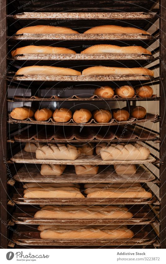 Regale mit frischem Brot und Brötchen Bäckerei Ablage Tablett Gebäck Lebensmittel Brotlaib geschmackvoll lecker Kruste viele Kulisse Qualität Kleinunternehmen