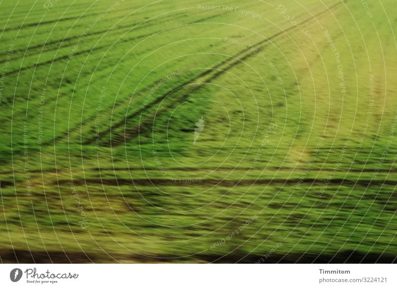!Trash! 2020 | Zugfahrt Fenster Spiegelung Unschärfe Feld Acker grün Linien Geschwindigkeit Natur Landschaft Menschenleer