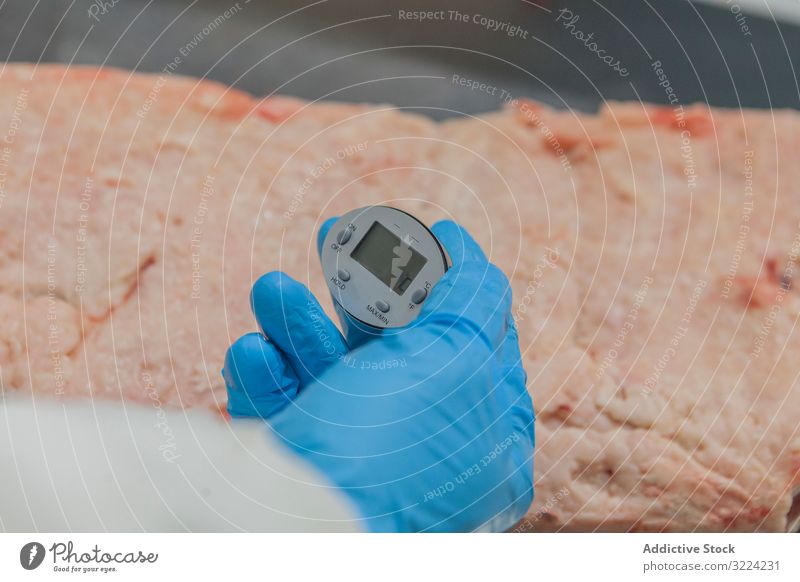 Inspektor prüft den Zustand von Fleisch mit einem digitalen Messgerät in der Hand messen Qualität Schlachthof analysieren Daten Arbeitsplatz Bildschirm frisch