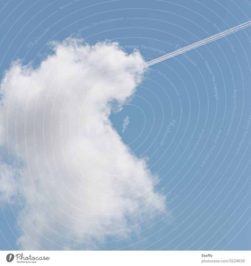 verloren | ein Flugzeug in einer Wolke Chemtrail Kondensstreifen Luft Himmelszeichen nur Himmel verblüffend Spuren verstecken bizarr ungewöhnlich versteckt
