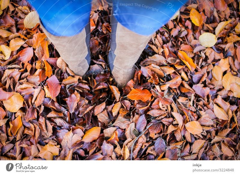 mitten im Herbst Freizeit & Hobby Mensch feminin Leben Beine 1 Blatt Herbstlaub Garten Park Wald Jeanshose Stiefel stehen authentisch Natur Mitte Haufen