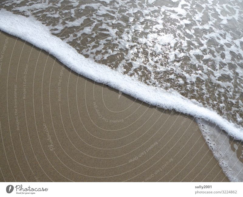 Sehnsucht nach Meer... Sand Strand Bewegung Flüssigkeit glänzend Erholung Wellen Brandung Sandstrand Schaum Gischt ruhig Meditation weiß Küste Geplätscher