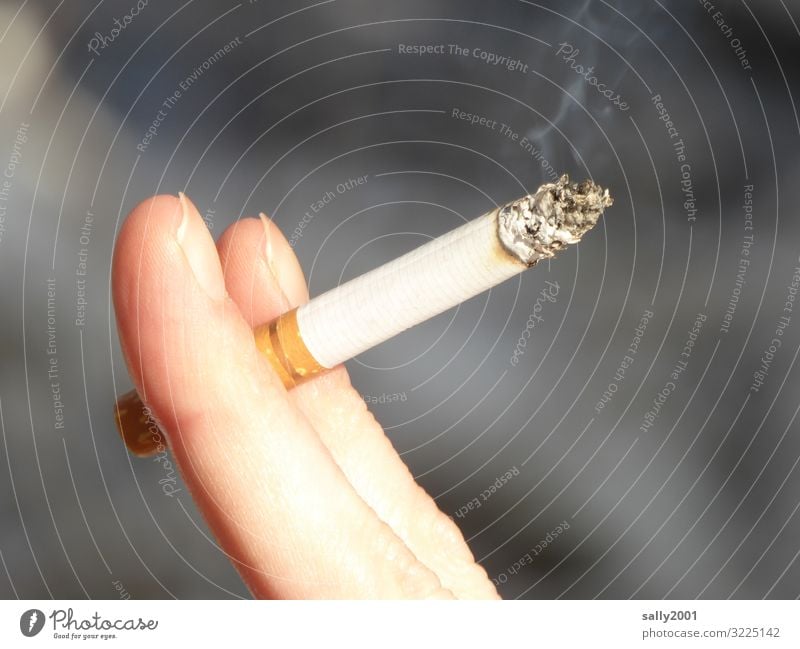 Suchtpotenzial... feminin Junge Frau Jugendliche Finger festhalten Rauchen Stress Nervosität Drogensucht Erholung Zigarette Zigarettenrauch ungesund