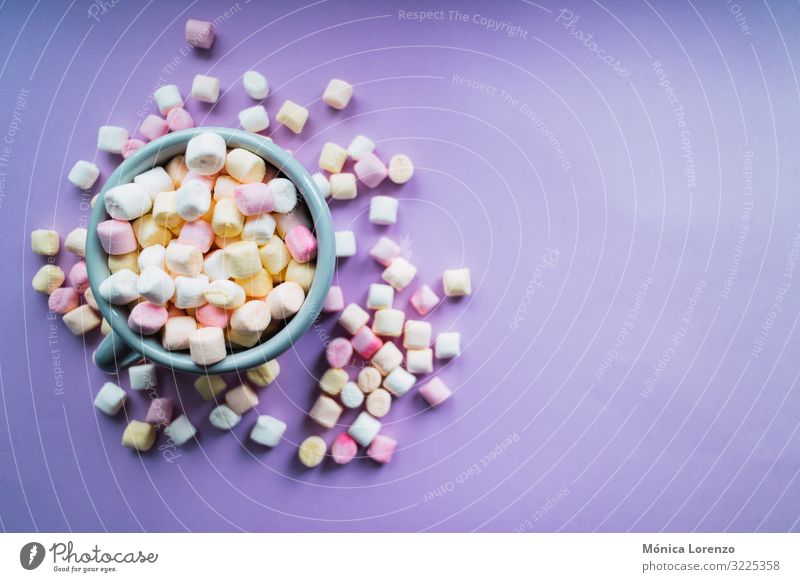 Heiße Schokolade mit bunten Marshmallows auf violettem Hintergrund. Dessert Getränk Winter Dekoration & Verzierung heiß weich gelb rosa weiß Farbe Zucker Tasse