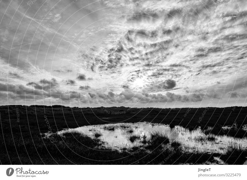 dark dune Umwelt Natur Landschaft Himmel Wolken Frühling Insel Ameland Düne schwarz weiß Gelassenheit geduldig ruhig Zufriedenheit Schwarzweißfoto Außenaufnahme